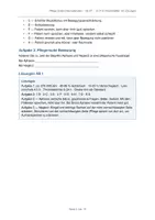 Vorschau - Stundenentwürfe - Unterrichtsentwurf Reha nach Apoplex G-07 - Seite 2