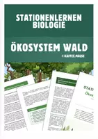 Vorschau - Stundenentwürfe - Stationenlernen - Ökosystem Wald (inkl. Handreichung und Lösungen) - Deckblatt