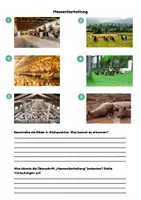 Vorschau - Arbeitsblätter - Massentierhaltung verstehen: Tierethik, Tierwohl (Klasse 5-7) - Seite 1
