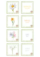 Vista previa - Juegos / Gamificación - Juego de memoria - flores - página 1