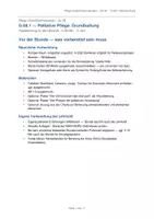 Vorschau - Stundenentwürfe - Unterrichtsentwurf Palliative Pflege G-08 - Deckblatt