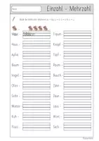 Vorschau - Arbeitsblätter - Einzahl - Mehrzahl (ÄU/ Ä/ Ü/ Ö) FREEBIE - Seite 1