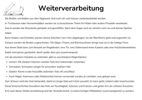 Vorschau - Stundenentwürfe - Vom Holz zum Möbelstück - Infotexte und Arbeitsblatt - Seite 3