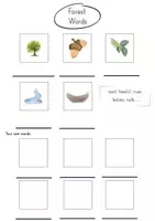 Vorschau - Arbeitsblätter - Materialpaket Forest/Forest animals - Seite 2