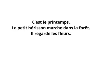 Aperçu - Cartes / Images - Kamishibai – Le petit hérisson trouve une fleu - Page 2