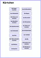Vorschau - Arbeitsblätter - Skelett mit Zuordnungskärtchen - Seite 3