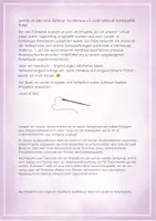 Vorschau - Lehrpläne/Lehrermaterial - Textil: schuleigener Arbeitsplan /Curriculum - Seite 2
