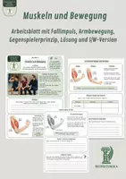Vorschau - Unterrichtsreihen - Muskeln und Bewegung – Arbeitsblatt mit Fallimpuls, Armbewegung, Gegenspielerprinzip, Lösung und S/W-Version - Deckblatt