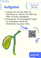 Vorschau - Arbeitsblätter - Die Gallenblase - Arbeitsheft Pflege & Biologie mit Experiment, QR-Code, Fallbeispiel & Lösungen - Seite 1