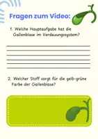 Vorschau - Arbeitsblätter - Die Gallenblase - Arbeitsheft Pflege & Biologie mit Experiment, QR-Code, Fallbeispiel & Lösungen - Seite 2