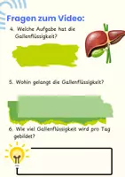 Vorschau - Arbeitsblätter - Die Gallenblase - Arbeitsheft Pflege & Biologie mit Experiment, QR-Code, Fallbeispiel & Lösungen - Seite 3
