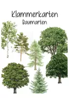 Vorschau - Stationenlernen - Unser Wald: Klammerkarten Bäume/Baumarten - Deckblatt