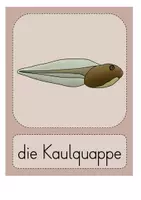 Vorschau - Arbeitsblätter - Der Buchstabe QU - Anlautbilder und Arbeitsblätter (Vorschule) - Seite 2