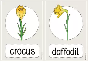 Vorschau - Präsentationen/Tafelbilder - spring Flashcards picture and word - Seite 2