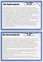 Vorschau - Arbeitsblätter - Wissenskartei Verhütungsmittel - Seite 3