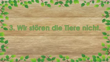 Vorschau - Bildkarten - Die 10 grünen Regeln für das Verhalten im Wald - Seite 3
