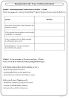 Vorschau - Arbeitsblätter - Jahrgangsstufentest Deutsch Realschule Bayern Texte, Ausdruck, Rechtschreibung und Grammatik, mit Lösungen KLasse 5 & Klasse 6 - Seite 3