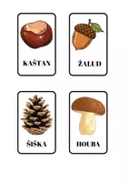 Náhled - Podzimní kartičky pro děti | 32 obrázkových kartiček - boční 3
