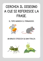 anteprima - Esercizi - Lettura e comprensione di frasi in stampatello maiuscolo - Pagina 1