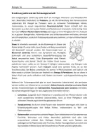 Vorschau - Stundenentwürfe - Schwangerschaft & fetale Entwicklung – Komplettstunde als Expertenpuzzle - Seite 2