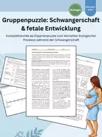 Vorschau - Stundenentwürfe - Schwangerschaft & fetale Entwicklung – Komplettstunde als Expertenpuzzle - Deckblatt