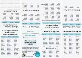 Vorschau - Arbeitsblätter - Irregular Plural Forms in English - singular / plural - Seite 1