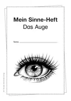 Vorschau - Unterrichtsreihen - Mein Sinne-Heft – Das Auge (3./4. Klasse, Kurzprojekt) - Seite 3