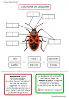 Aperçu - Préparation de séance / Séance complète - Sujet d'étude sur le gendarme Monpetitcoindief - Page 3