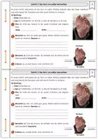 Vorschau - Arbeitsblätter - Sezieren eines Schweineherzens – Schritt-für-Schritt-Anleitung & Präsentationsfolien - Seite 3