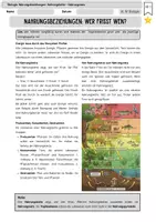 Vorschau - Arbeitsblätter - Ökologie - Biotische Faktoren: Nahrungsbeziehungen - Seite 1