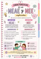 Vista previa - Refuerzo / NEE / Materiales de apoyo - Guía visual - NEAE y NEE (toda la información necesaria resumida) - Portada
