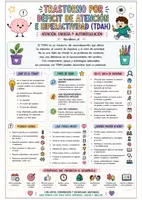 Vista previa - Refuerzo / NEE / Materiales de apoyo - Guía visual - NEAE y NEE (toda la información necesaria resumida) - página 3