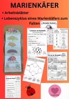 Vorschau - Arbeitsblätter - Marienkäfer - Faltbuch & Steckbrief - Deckblatt