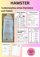 Vorschau - Arbeitsblätter - Hamster Lebenszyklus - Interaktives Faltbuch - Deckblatt