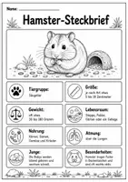 Vorschau - Arbeitsblätter - Hamster Lebenszyklus - Interaktives Faltbuch - Seite 1