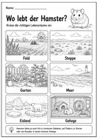 Vorschau - Arbeitsblätter - Hamster Lebenszyklus - Interaktives Faltbuch - Seite 3