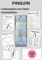 Vorschau - Arbeitsblätter - Pinguin Lebenszyklus - Interaktives Faltbuch & Steckbrief - Deckblatt