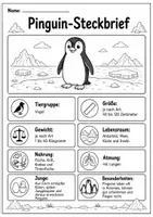 Vorschau - Arbeitsblätter - Pinguin Lebenszyklus - Interaktives Faltbuch & Steckbrief - Seite 1