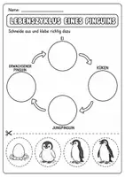 Vorschau - Arbeitsblätter - Pinguin Lebenszyklus - Interaktives Faltbuch & Steckbrief - Seite 3