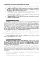 Vista previa - Fichas informativas / Documentos de lectura - Tema 5 Regiones biogeográficas - página 2