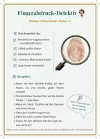 Vorschau - Stationenlernen - Biologie Experimente Grundschule | Klasse 1-3 Sachunterricht - Seite 3