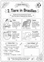 Vorschau - Stundenentwürfe - Fussball-WM 2026 | Brasilien entdecken-Sachunterricht Grundschule Klasse 1-4 - Seite 3