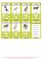 Aperçu - Jeux - 7-familles-animaux-sauvages - Page 2
