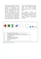 Vorschau - Arbeitsblätter - Chemische Synapsen verstehen: Interaktives Legemodell - Seite 2
