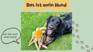 Vorschau - Arbeitsblätter - Materialpaket Haustiere - Seite 1