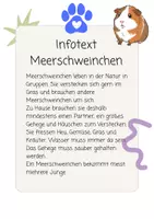Vorschau - Arbeitsblätter - Haustiere präsentieren - Deckblatt