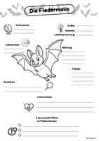 Vorschau - Arbeitsblätter - Steckbrief Fledermaus & Fledermausklasse Ideen - Seite 3
