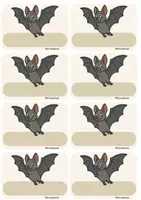 Vorschau - Lehrpläne/Lehrermaterial - Klassentier / Klassenmaskottchen Fledermaus Materialpaket Ideen - Seite 3