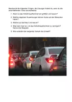 Vorschau - Arbeitsblätter - Kfz-Verkehr: Auswirkungen und Gründe sowie negative Folgen - Seite 2