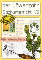 Vorschau - Unterrichtsreihen - großes Materialpaket Sachunterricht Klasse 1 & 2 Frühling, Verkehr, Tiere, Sinne, Frühblüher, Müll, Herbst, Winter & Co. - Seite 1